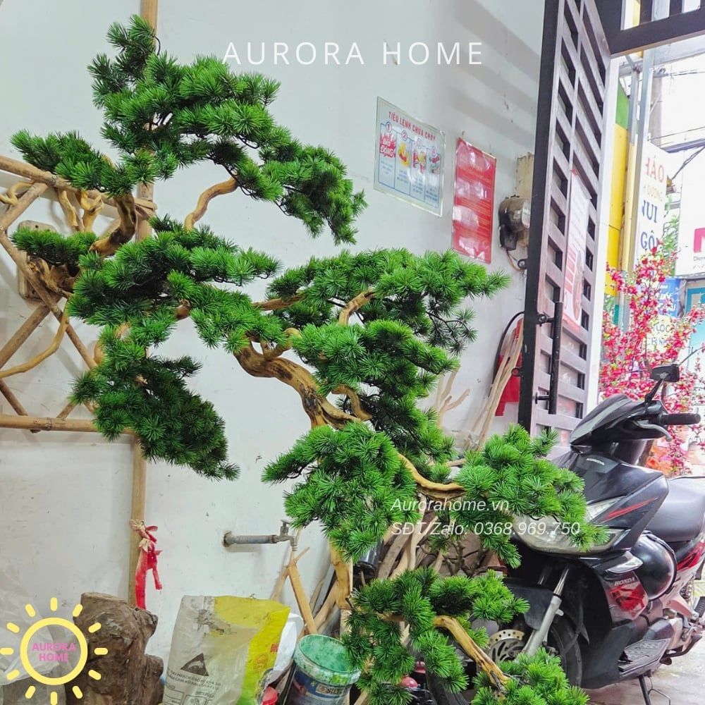 Cây tùng treo cao cấp hàng thiết kế theo yêu cầu