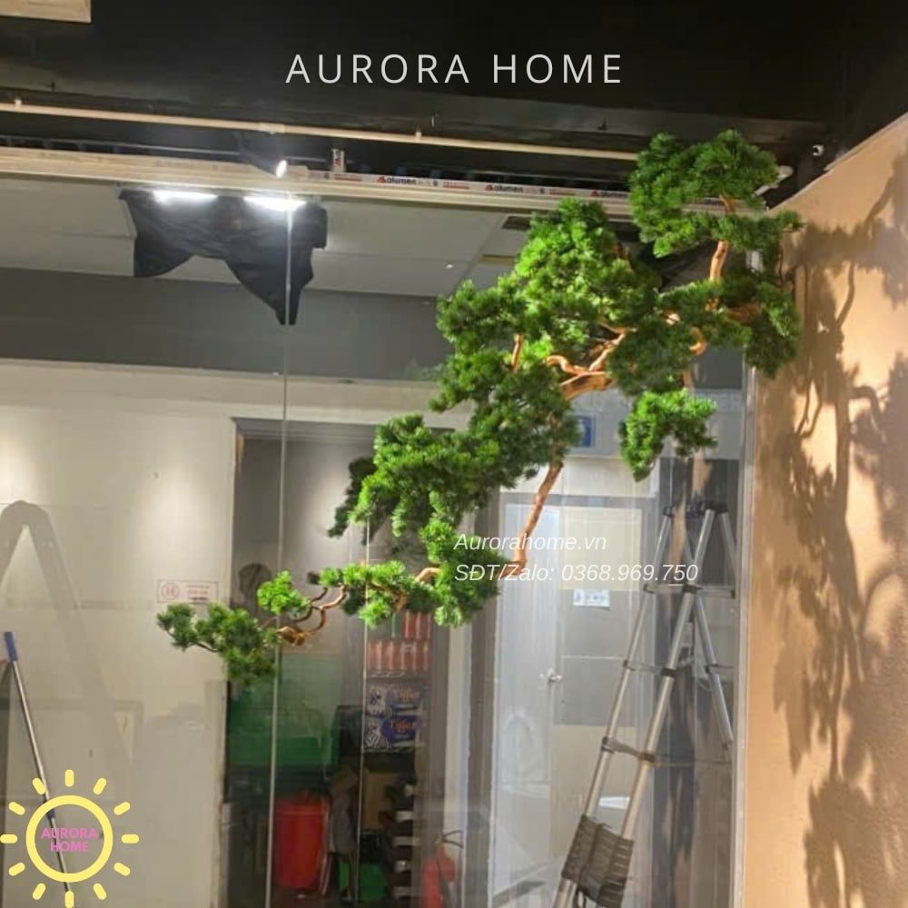 Cây tùng treo cao cấp hàng thiết kế theo yêu cầu