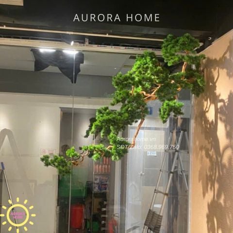 Cây tùng treo cao cấp hàng thiết kế theo yêu cầu