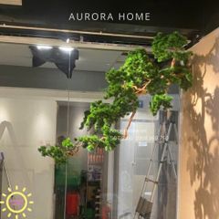 Cây tùng treo cao cấp hàng thiết kế theo yêu cầu