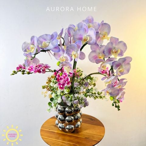 Chậu hoa lan hồ điệp Mộng Thanh