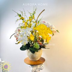 Chậu hoa lan hồ điệp Kim Cang