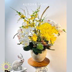 Chậu hoa lan hồ điệp Kim Cang