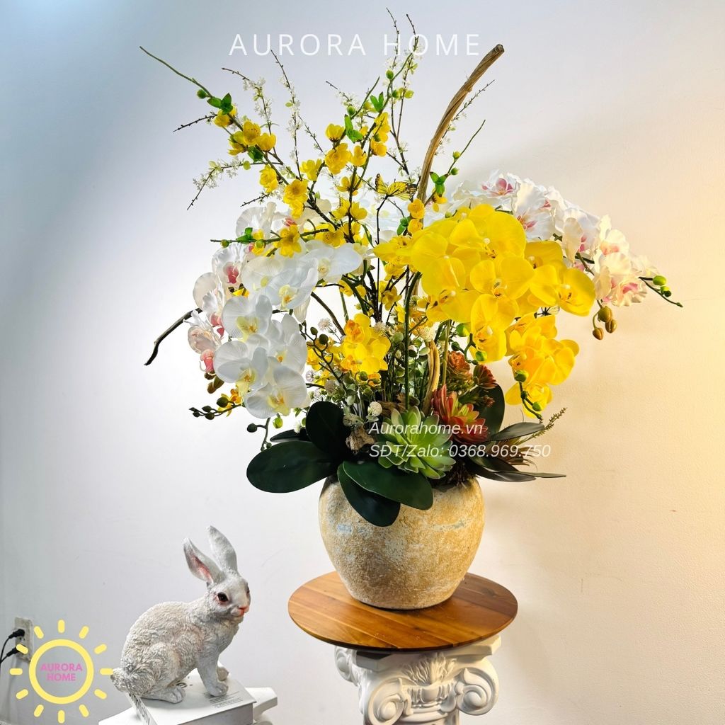 Chậu hoa lan hồ điệp Kim Cang