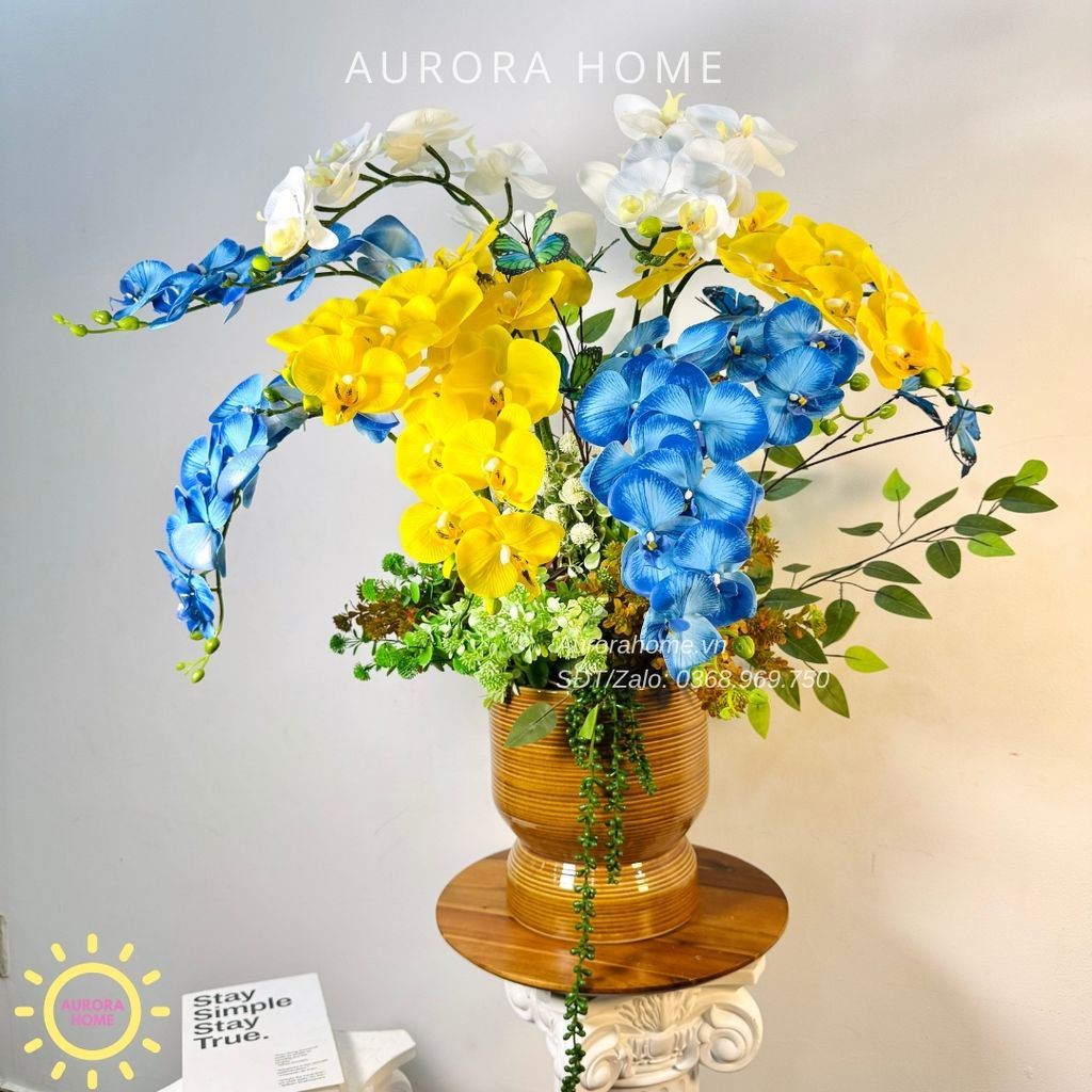 Chậu hoa lan hồ điệp Tỉnh Cảnh