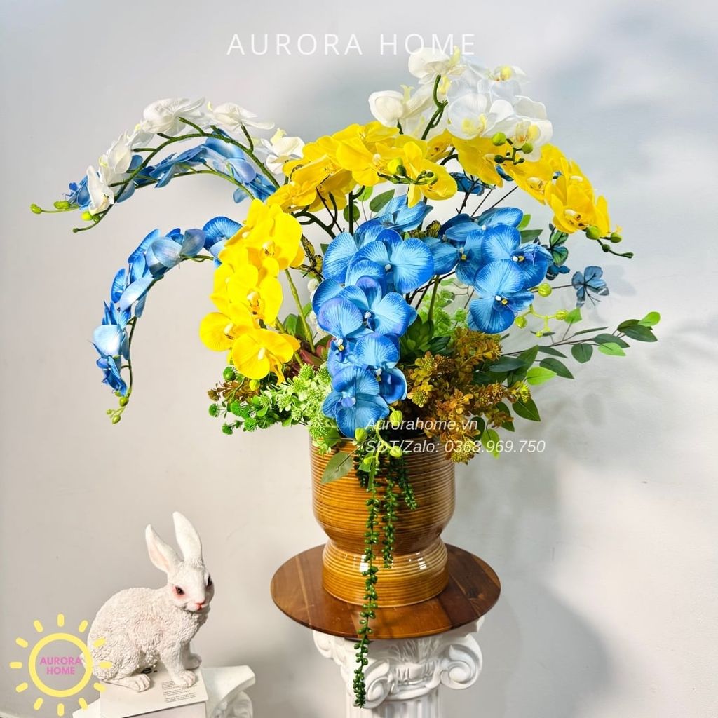 Chậu hoa lan hồ điệp Tỉnh Cảnh