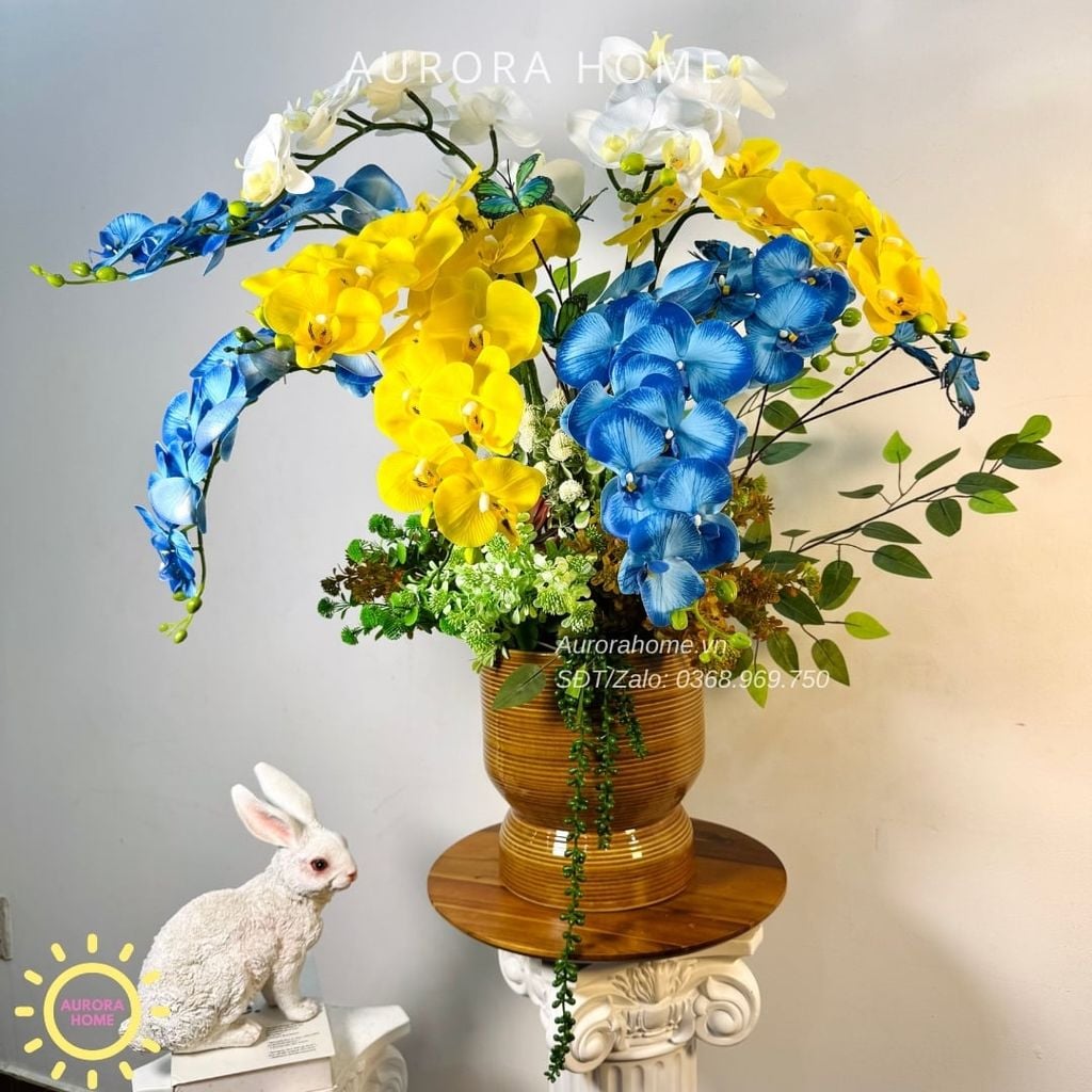 Chậu hoa lan hồ điệp Tỉnh Cảnh