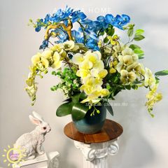 Chậu hoa lan hồ điệp Tâm Cảnh