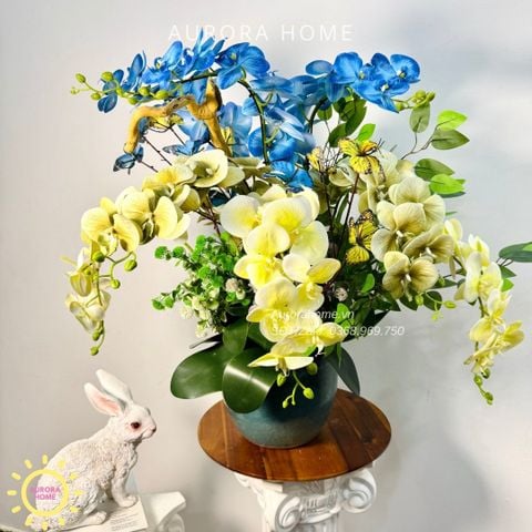 Chậu hoa lan hồ điệp Tâm Cảnh