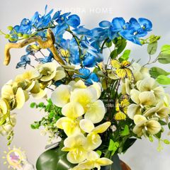 Chậu hoa lan hồ điệp Tâm Cảnh