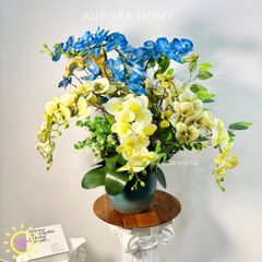 Chậu hoa lan hồ điệp Tâm Cảnh