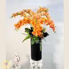 Chậu hoa lan hồ điệp Diễm Cảnh cao cấp