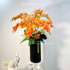 Chậu hoa lan hồ điệp Diễm Cảnh cao cấp