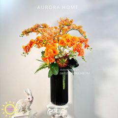 Chậu hoa lan hồ điệp Diễm Cảnh cao cấp