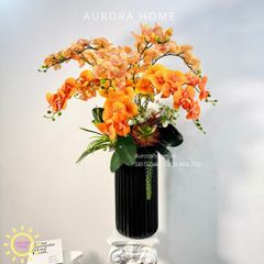 Chậu hoa lan hồ điệp Diễm Cảnh cao cấp