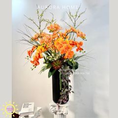 Chậu hoa lan hồ điệp Diễm Cảnh cao cấp