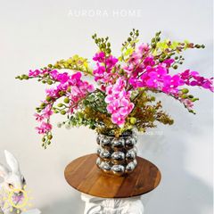 Chậu hoa lan tiểu hồ điệp Thiên Tiên