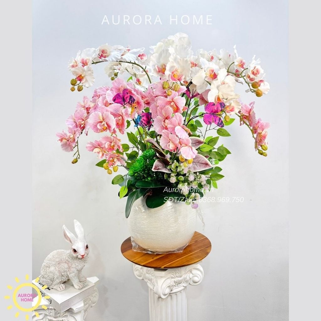 Chậu hoa lan hồ điệp Sắc Xuân Rực Rỡ