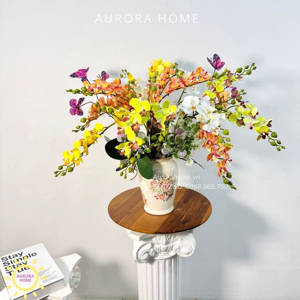 Chậu hoa lan tiểu hồ điệp Mai Hoa