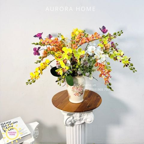 Chậu hoa lan tiểu hồ điệp Mai Hoa