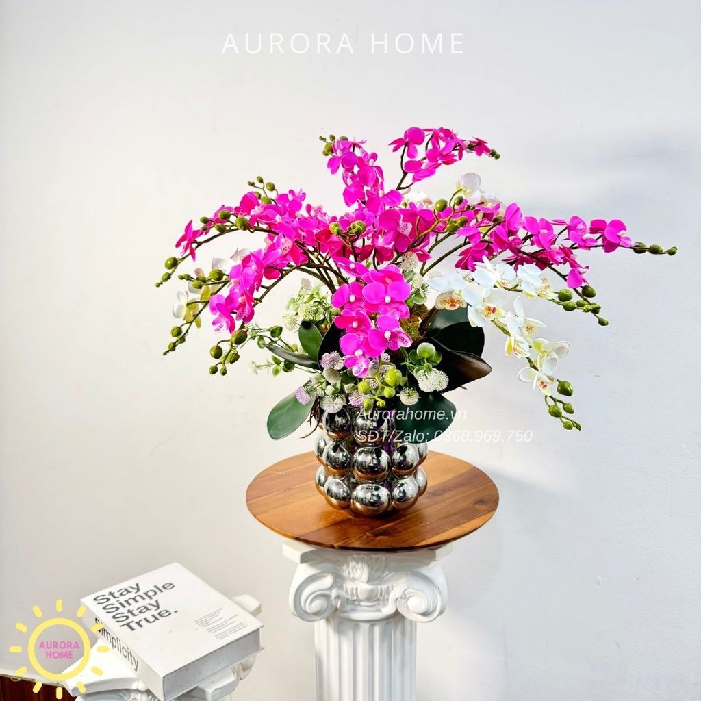 Chậu hoa lan tiểu hồ điệp Thiên Tiên