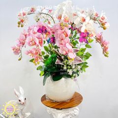 Chậu hoa lan hồ điệp Sắc Xuân Rực Rỡ