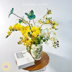 Chậu hoa lan tiểu hồ điệp Sắc Xanh