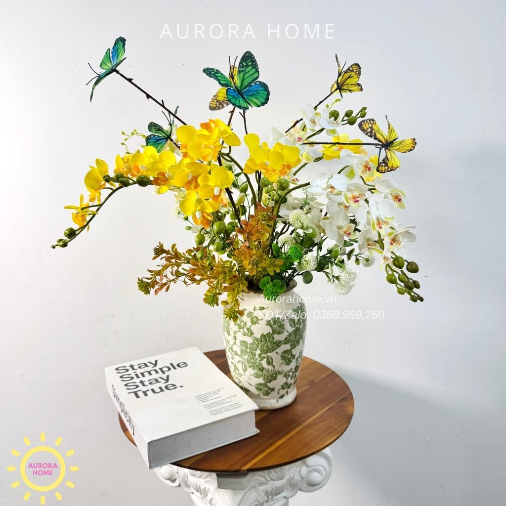 Chậu hoa lan tiểu hồ điệp Sắc Xanh