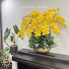 Chậu hoa lan hồ điệp cao cấp Khả Ái