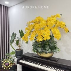 Chậu hoa lan hồ điệp cao cấp Khả Ái