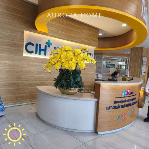 Chậu hoa lan hồ điệp cao cấp Khả Ái