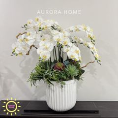 Bình hoa lan sen đá giả Caca Lily cao cấp