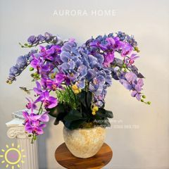 Chậu hoa lan hồ điệp giả cao cấp Xiua Xima (4 mặt)