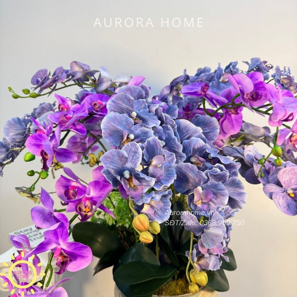 Chậu hoa lan hồ điệp giả cao cấp Xiua Xima (4 mặt)