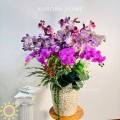 Chậu hoa lan hồ điệp giả cao cấp Tình Ca