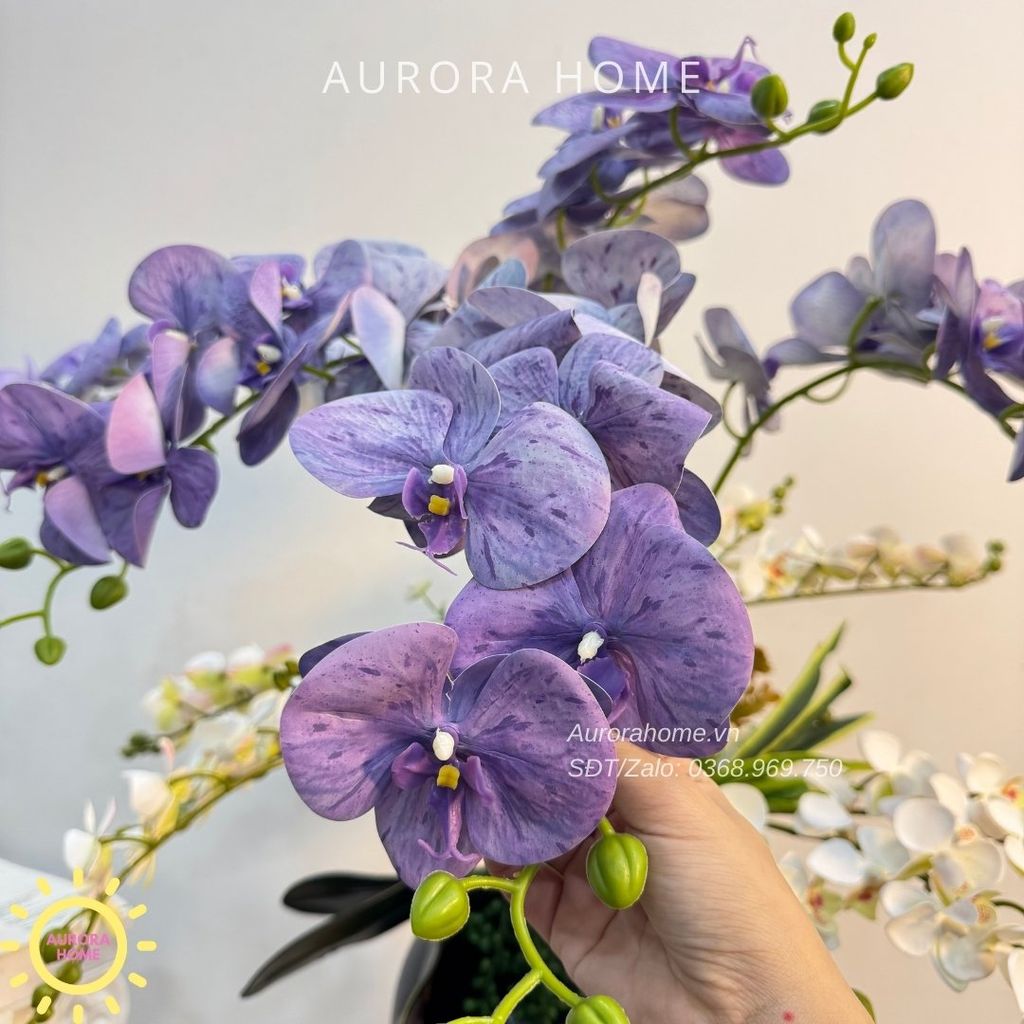 Bình hoa lan hồ điệp lụa cao cấp Komorebi