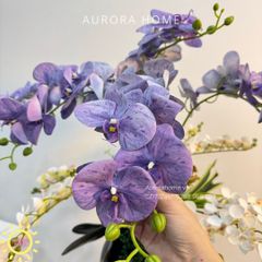 Bình hoa lan hồ điệp lụa cao cấp Komorebi