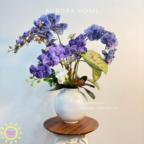 Bình hoa lan hồ điệp lụa cao cấp Neko Kilala