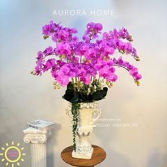 Chậu hoa lan hồ điệp giả cao cấp Frelia Frelia