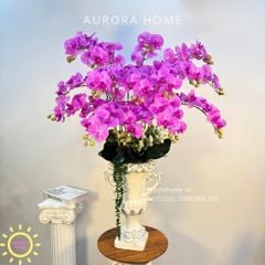 Chậu hoa lan hồ điệp giả cao cấp Frelia Frelia