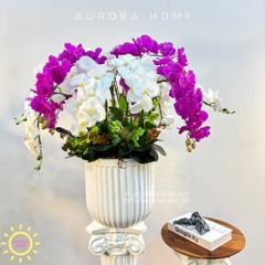 Chậu hoa lan hồ điệp giả Cát Tường (4 mặt)