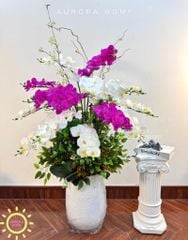 Chậu hoa lan hồ điệp giả Thiên Thời (150cm)