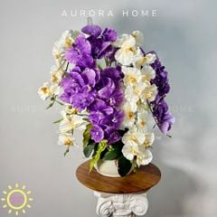 Chậu hoa lan hồ điệp giả Tiểu Kiều
