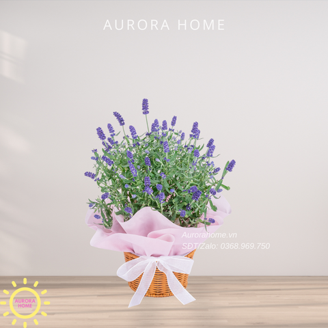 Giỏ hoa tươi chúc mừng Sắc Xuân 01