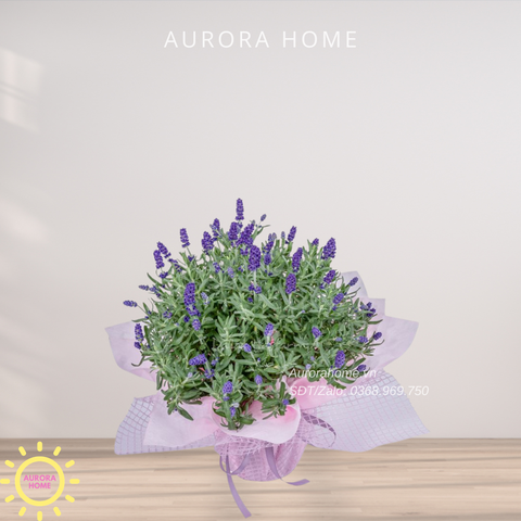 Giỏ hoa tươi lavender chúc mừng Sắc Xuân 02