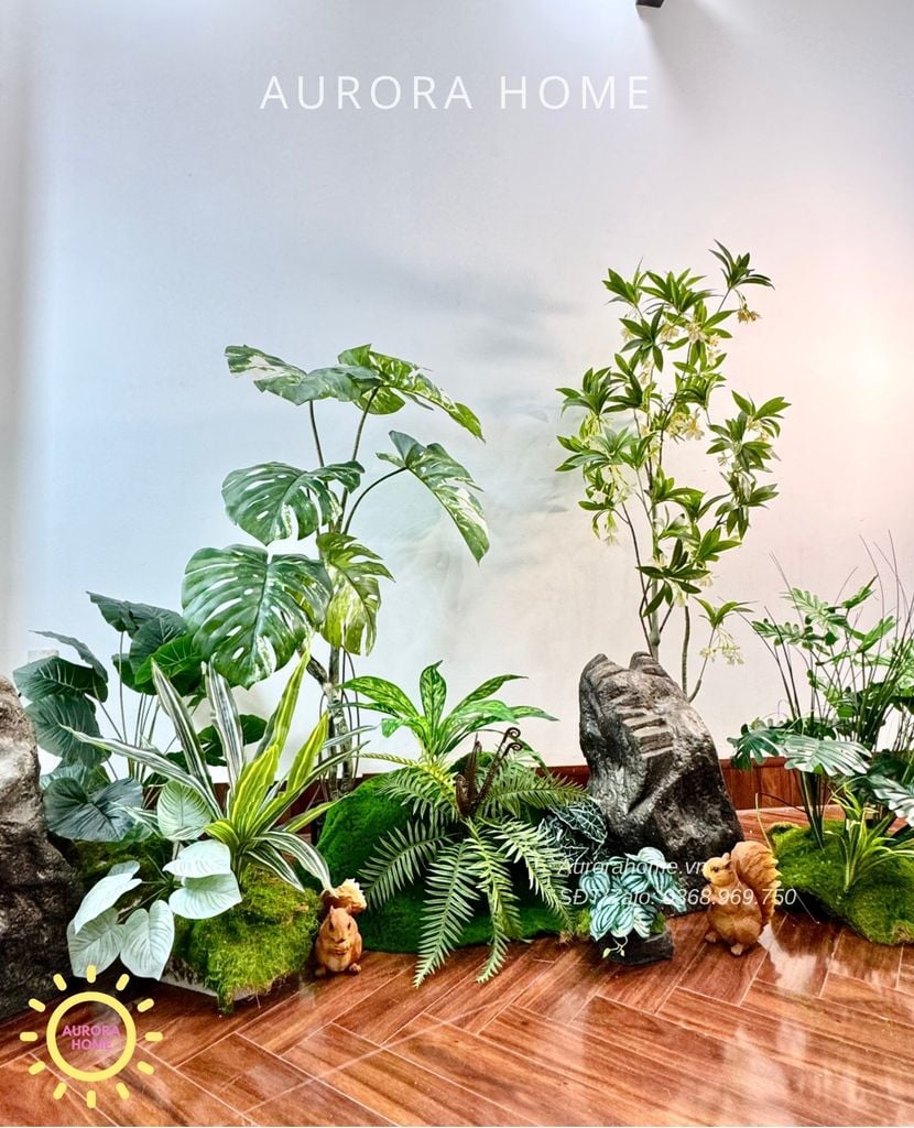 Tiểu cảnh khóm cây Monstera bạch biến xinh xắn