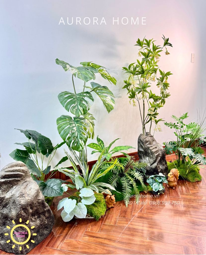 Tiểu cảnh khóm cây Monstera bạch biến xinh xắn