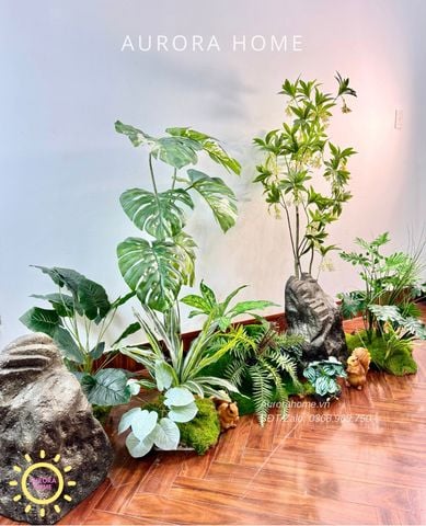 Tiểu cảnh khóm cây Monstera bạch biến xinh xắn