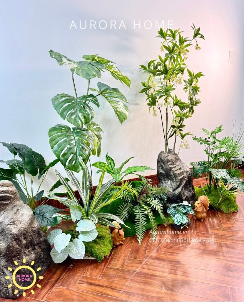 Tiểu cảnh khóm cây Monstera bạch biến xinh xắn