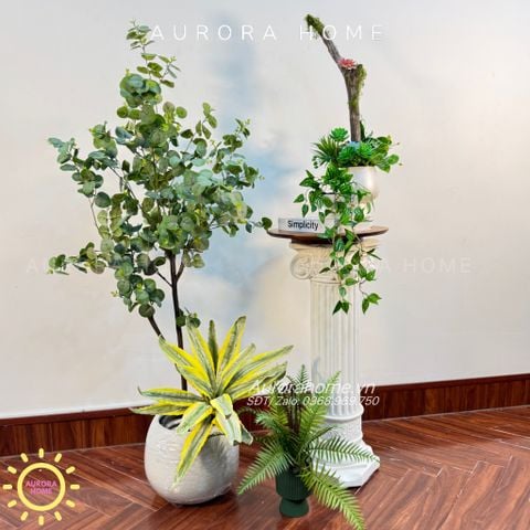 Tiểu cảnh cây giả cây khuynh diệp (Set cây decor 06)